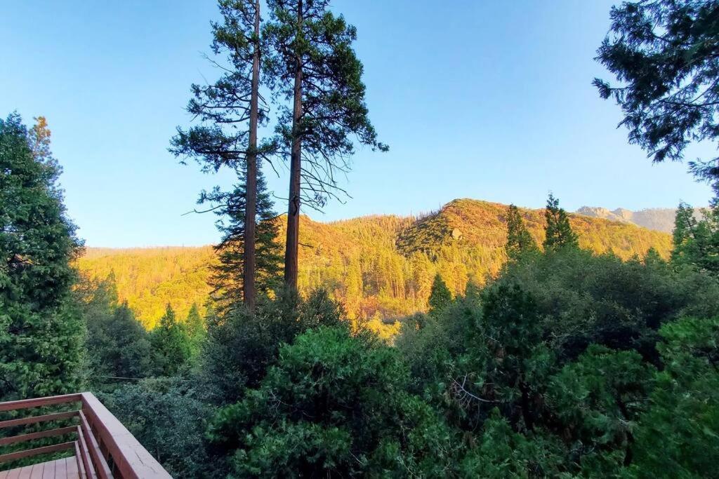 Redwood Retreat, Mountains, Adventure And Nature Ponderosa Экстерьер фото
