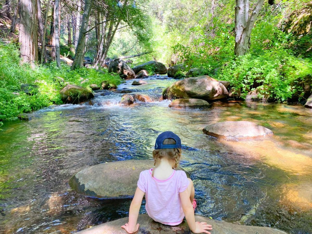 Redwood Retreat, Mountains, Adventure And Nature Ponderosa Экстерьер фото