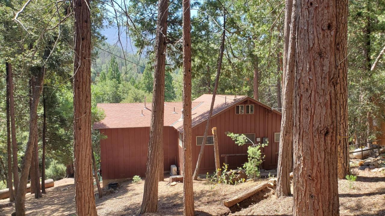 Redwood Retreat, Mountains, Adventure And Nature Ponderosa Экстерьер фото