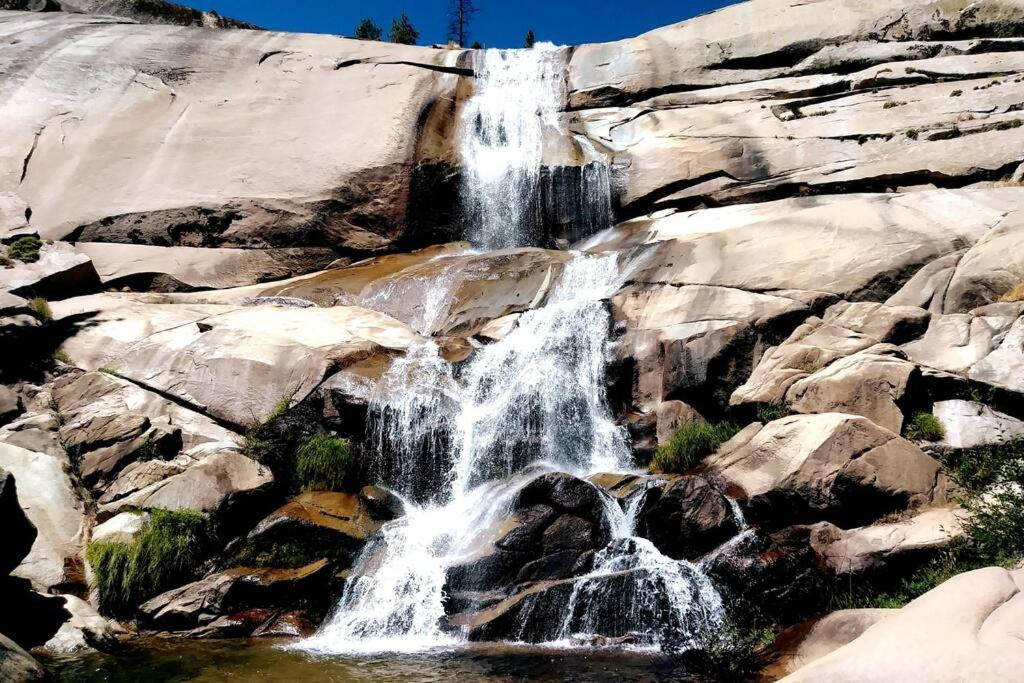 Redwood Retreat, Mountains, Adventure And Nature Ponderosa Экстерьер фото