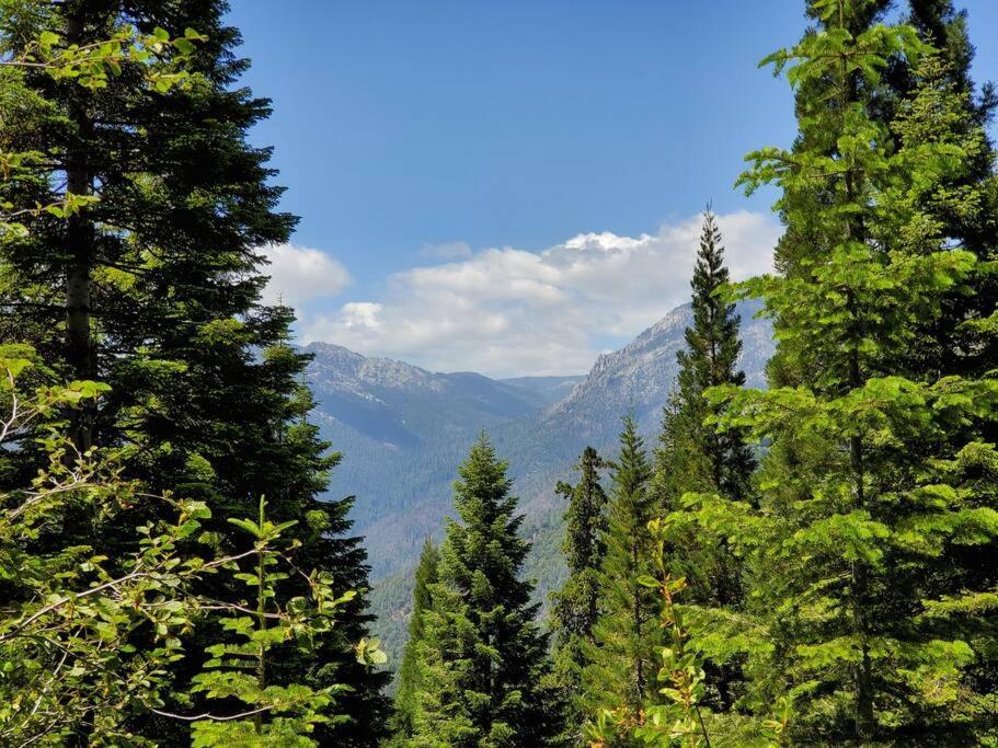 Redwood Retreat, Mountains, Adventure And Nature Ponderosa Экстерьер фото
