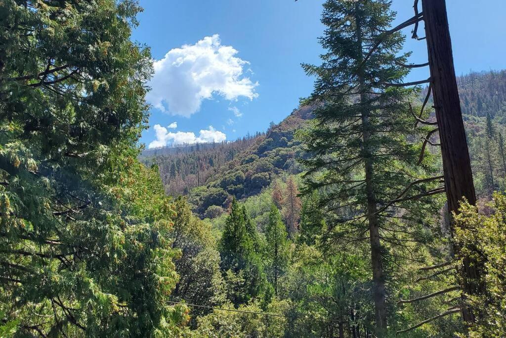Redwood Retreat, Mountains, Adventure And Nature Ponderosa Экстерьер фото