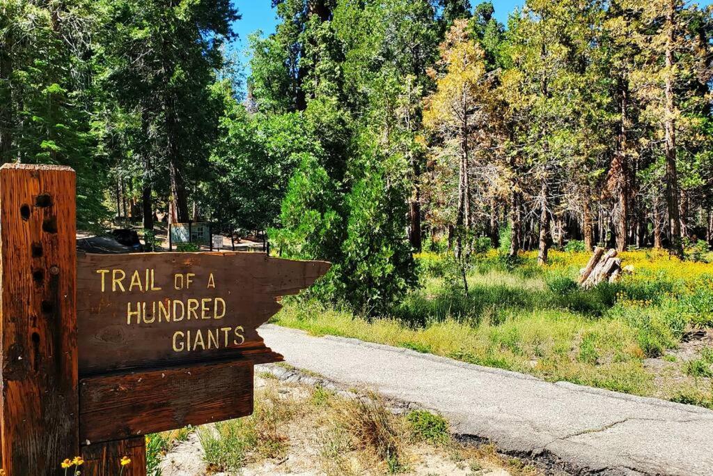 Redwood Retreat, Mountains, Adventure And Nature Ponderosa Экстерьер фото