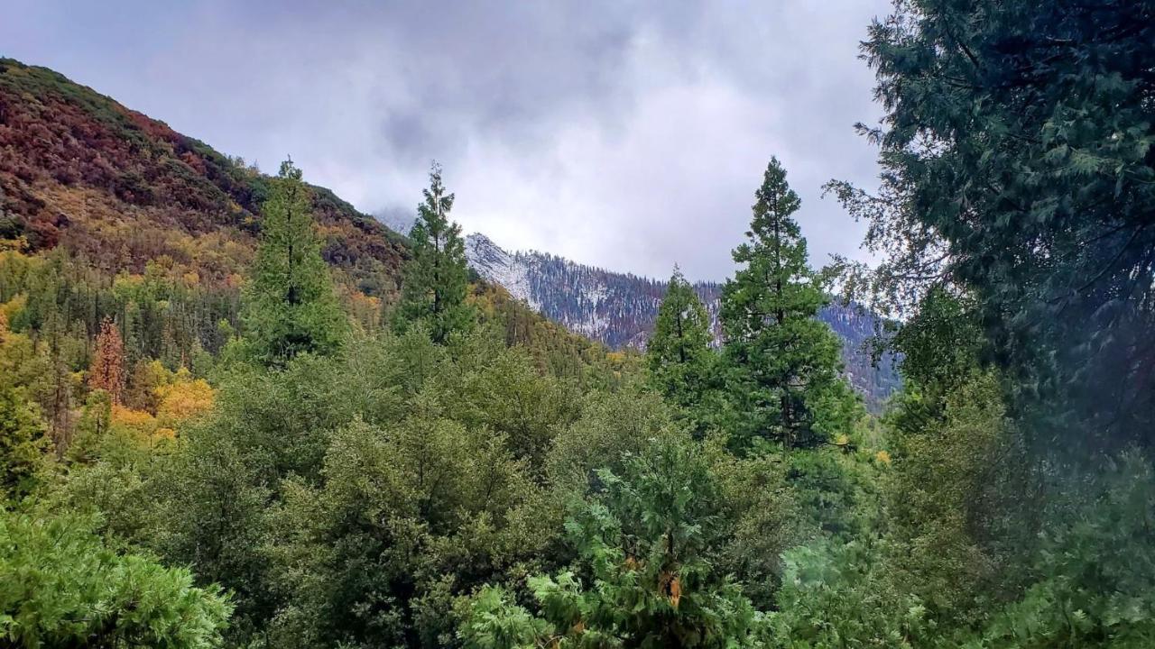 Redwood Retreat, Mountains, Adventure And Nature Ponderosa Экстерьер фото