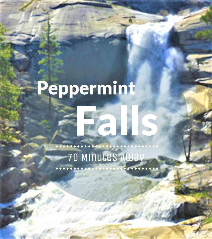 Redwood Retreat, Mountains, Adventure And Nature Ponderosa Экстерьер фото