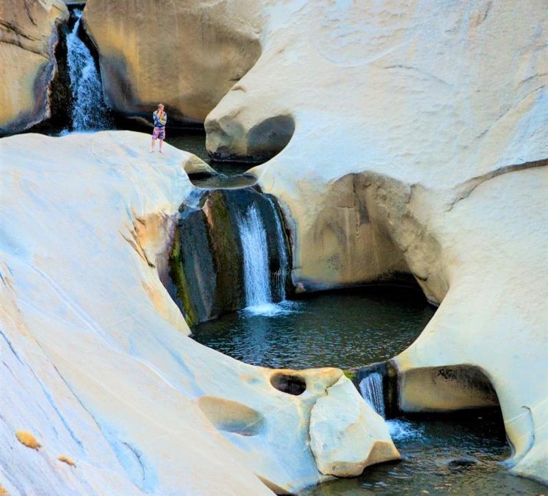 Redwood Retreat, Mountains, Adventure And Nature Ponderosa Экстерьер фото