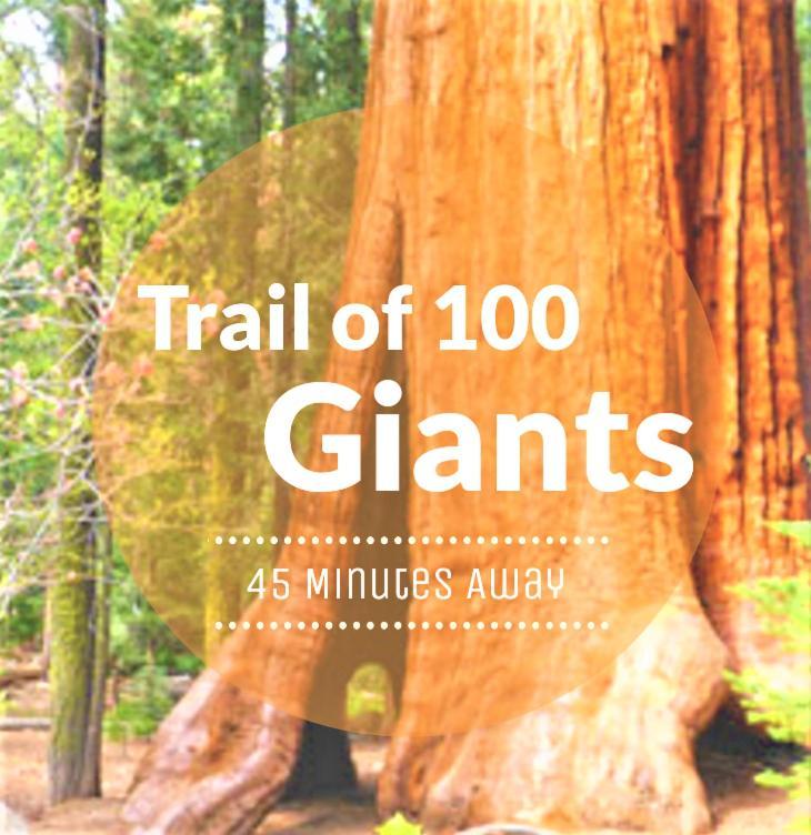 Redwood Retreat, Mountains, Adventure And Nature Ponderosa Экстерьер фото