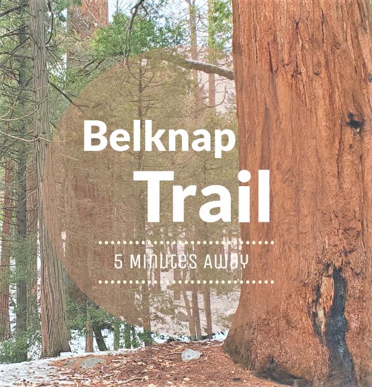 Redwood Retreat, Mountains, Adventure And Nature Ponderosa Экстерьер фото